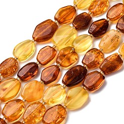 Gradient Color Natural Amber Beads Strands&nbsp;G-F803-E01-01