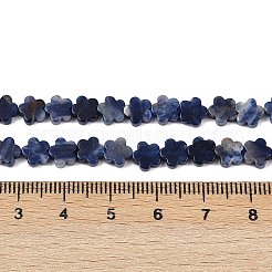 天然石ソーダライトビーズ連売り  スモモの花  6~6.5x6x2.5mm  穴：0.8mm  約60~63個/連  14.37~14.84''（36.5~37.7センチメートル）&nbsp;G-B138-C12-01