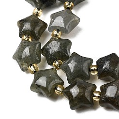 Natural Labradorite Beads Strands&nbsp;G-Z080-A33-10mm