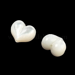 Natural White Shell Beads&nbsp;SHEL-K006-57
