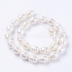 Shell Pearl Beads Strands&nbsp;BSHE-L035-D01