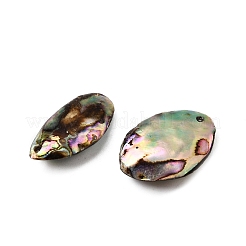 天然パウアシェルペンダント  楕円形のチャーム  カラフル  21~25x12~16x4~6mm  穴：0.9~1mm&nbsp;SSHEL-S280-01A