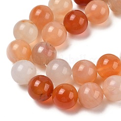 Natural Red Agate Beads Strands&nbsp;G-A248-A06-05