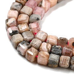 Natural Rhodonite Beads Strands&nbsp;X-G-Q1005-F-01