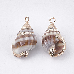 電気メッキ巻き貝ペンダント  鉄パーツ  ゴールドカラー  シエナ  18~25x9~16x7~12mm  穴：1.6mm&nbsp;SSHEL-T009-12