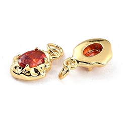 Brass Micro Pave Cubic Zirconia Pendant&nbsp;X-ZIRC-P089-19G-F