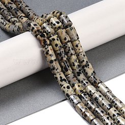 天然石ダルメシアンジャスパービーズ連売り  コラム  7.5~8.5x5~6mm  穴：1mm  約45~46個/連  14.69~15.04インチ（37.3~38.2cm）&nbsp;G-C128-A18-01