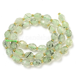 Natural Prehnite Beads Strands&nbsp;G-N342-43