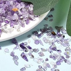 Natural Amethyst Chip Beads&nbsp;X-G-L453-06