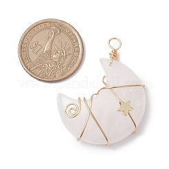 Natural Quartz Crystal Copper Wire Wrapped Pendants&nbsp;PALLOY-JF02685-05