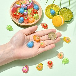 70色の蓄光不透明樹脂カボション7個  果物を持ったカメ  暗闇で光る  ミックスカラー  22.5~23.5x16x11~12mm  10個/カラー&nbsp;RESI-CJ0004-87