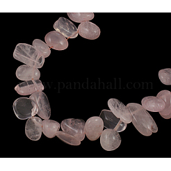 Natural Rose Quartz Beads Strands&nbsp;X-G505-034