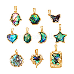 10Pcs 10 Styles Natural Paua Shell Pendants&nbsp;KK-PH0014-29
