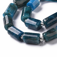 Natural Apatite Beads Strands&nbsp;X-G-S345-8x11-003