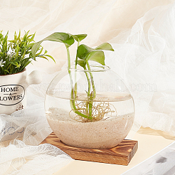 Glass Vase&nbsp;DJEW-WH0007-59B