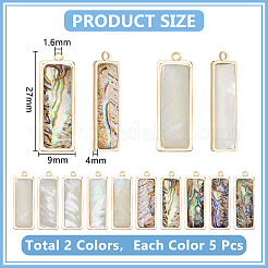 10Pcs 2 Styles Natural Paua Shell Pendants&nbsp;KK-WR0001-71
