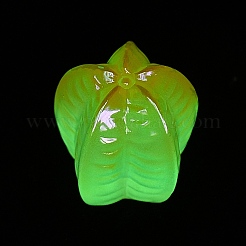 光るフルーツ樹脂の装飾  人形作り用  家のデスクトップの装飾  ゴレンシ  24x28mm&nbsp;CRES-CJC0009-14O