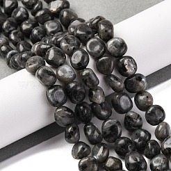 天然ラルビカイトビーズ連売り  ナゲット  タンブルストーン  7~12x6~8x5~7mm  穴：1mm  約43~44個/連  15.47~15.63''（39.3~39.7センチメートル）&nbsp;G-G146-A13-01