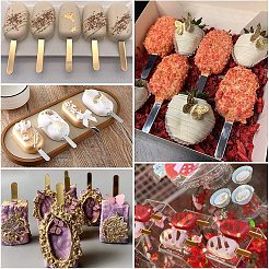 Reusable Acrylic Cakesicle Sticks&nbsp;DIY-PH0027-95