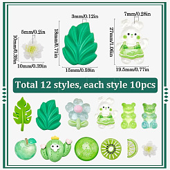 120Pcs 12 Styles Transparent & Opaque Resin Cabochons&nbsp;RESI-SP0001-07