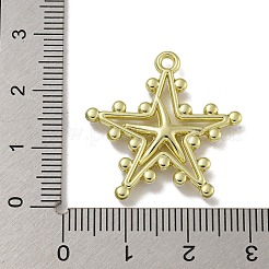 Rack Plating Alloy Pendants&nbsp;PALLOY-F312-43G