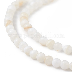 天然淡水シェルビーズ 125 個  染め  ラウンド  乳白色  3mm  穴：0.5mm&nbsp;LS-SHEL-B002-01F
