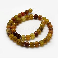 Natural Dragon Veins Agate Beads Strands&nbsp;G-F417-03-6mm