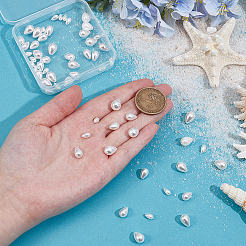 60Pcs 3 Styles Polished Shell Pearl Beads Strands&nbsp;BSHE-NB0001-38