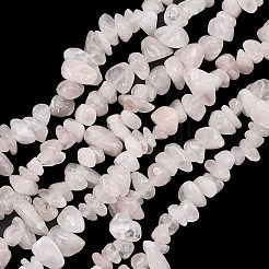 天然石ローズクォーツビーズ連売り  チップ  4~11x5~11x3~8mm  穴：0.5mm  30.71''~31.50''（78~80センチメートル）&nbsp;G-K409-A02-01