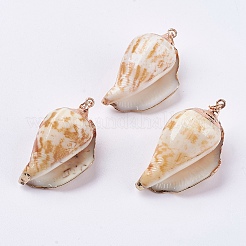 電気メッキ巻き貝ペンダント  鉄パーツ  巻き貝  ライトゴールド  36~46x19~25x15~20mm  穴：3mm&nbsp;BSHE-L036-43