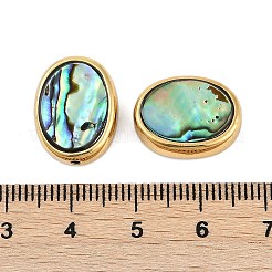 天然パウアシェルビーズ  真鍮エッジ付き  ゴールドカラー  オーバル  17x13x5.8mm  穴：1.7mm&nbsp;SSHEL-M024-03B-G