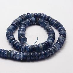 Rondelle Natural Kyanite/Cyanite/Disthene Bead Strands&nbsp;G-O137-01C