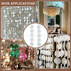 4Pcs Flat Round Natural Shell Door Curtain&nbsp;HJEW-BC00050