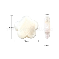 30Pcs Electroplate Natural Freshwater Shell Beads&nbsp;SHEL-CJ0001-26