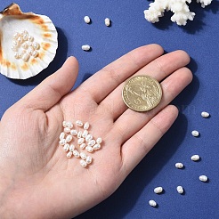 天然養殖淡水真珠ビーズ10個  バロックケシパールライスビーズ  貝殻色  3~5x3~3.5mm  穴：0.7~0.8mm&nbsp;PEAR-YW0001-47