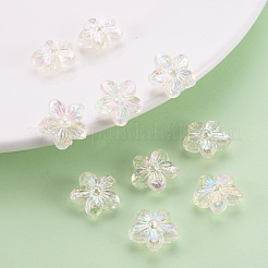 Transparent Acrylic Beads&nbsp;TACR-S154-45C-205