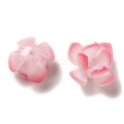 蓮の形の模造アクリルビーズキャップ  DIYのジュエリーには  パールピンク  18~20x12~13mm  穴：1~1.4mm&nbsp;SACR-C002-12