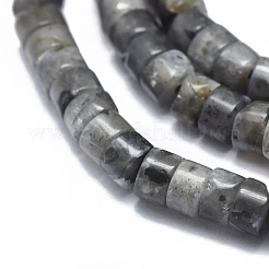 Natural Larvikite Beads Strand&nbsp;G-A177-01S-05