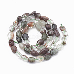 Natural Green Lodolite Quartz/Garden Quartz Beads Strands&nbsp;G-S331-6x8-006