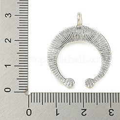 合金ペンダント  カドミウムフリー＆鉛フリー  プラチナ  半円  29.5x24x6mm  穴：2mm&nbsp;FIND-U015-38P