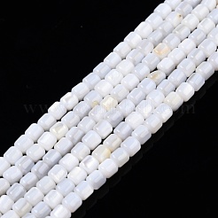 天然淡水シェルビーズ連売り  染めと未染色の混合  コラム  ミックスカラー  3.5x3.5mm  穴：0.8mm  約110~113個/連  14.69インチ〜15.08インチ（37.3~38.3cm）&nbsp;SHEL-N003-33