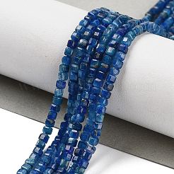 Natural Kyanite Beads Strands&nbsp;G-H042-B27-01