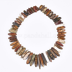 Natural Picasso Stone/Picasso Jasper Beads Strands&nbsp;G-S355-05