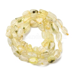 Natural Gold Prehnite Beads Strands&nbsp;G-K395-A07-01