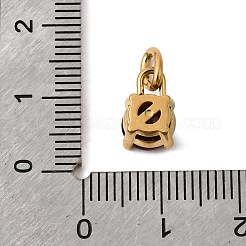 Birthdaystone Theme January 304 Stainless Steel Charms&nbsp;STAS-B128-60G-01