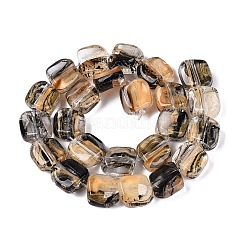Handmade Lampwork Beads Strands&nbsp;LA-N046-01H