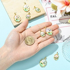 8個8スタイルの真鍮エナメルペンダント  オーバル、リーフチャーム付き  ABSの模造パールと  18KGP本金メッキ  ミックスカラー  20~26x13.5~18.5x4.5~6mm  穴：5x2.5mm  1個/スタイル&nbsp;KK-CJ0005-57