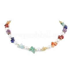 Chakra Theme Natural Red Aventurine & Red Jasper & Green Aventurine & Aquamarine & Citrine & Lapis Lazuli & Amethyst&nbsp;NJEW-JN05086