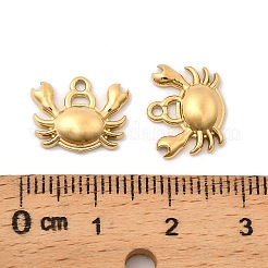 304 Stainless Steel Charms&nbsp;STAS-G358-08G-03