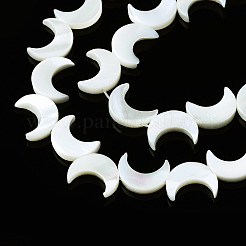 Natural Trochid Shell/Trochus Shell Beads Strands&nbsp;SSHEL-N032-25
